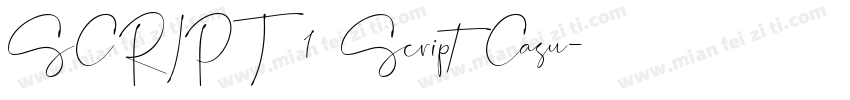 SCRIPT1 Script Casu字体转换